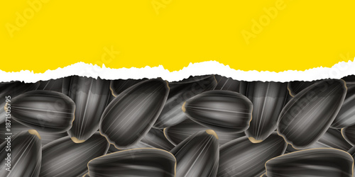 Sunflower seeds. Banner design with yellow background and torn edge, packaging mockup and website header with copy space