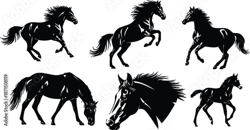 Silhouette vector dynamic horse set showing galloping rearing trotting foal grazing and close up head side view flowing mane isolated in bold black and white composition