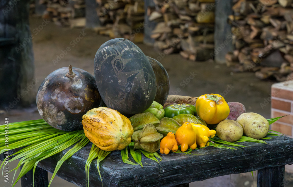 Fototapeta premium Examples of typical Costa Rica fruit and vegetables used historically for food and medicine