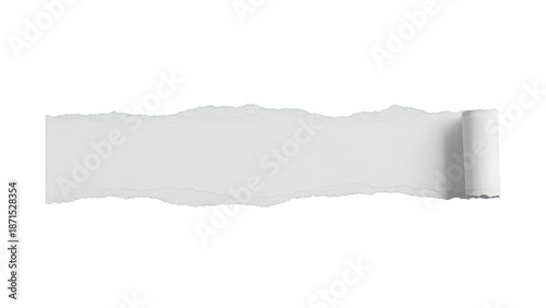 Torn paper strip with rolled edge isolated on transparent background