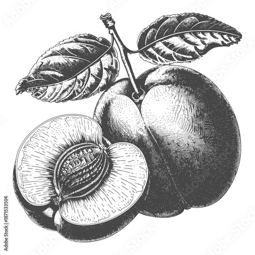 A monochrome still life illustration featuring plums and leaves