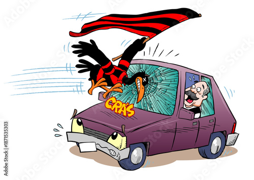 Flamengo vulture crashes