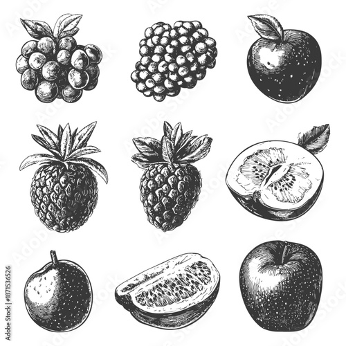 Collection of hand drawn fruits illustrations featuring apples strawberries and grapes