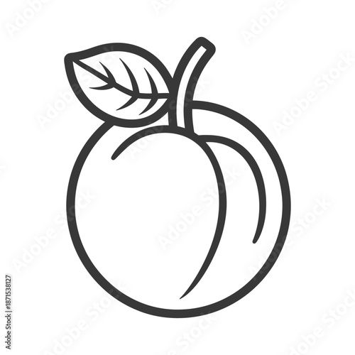 Line art drawing of a single peach with a leaf