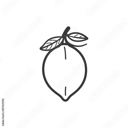 Simple Line Drawing Of A Lemon With Leaves
