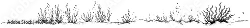 Hand drawn illustration of underwater seaweed and coral plants on the sea floor