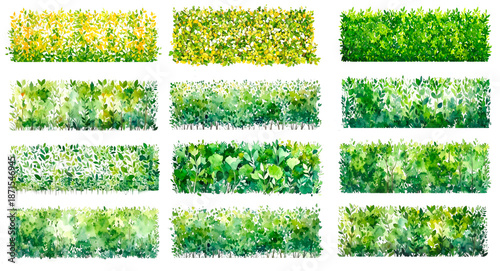 Watercolor style hedgerow antrouge