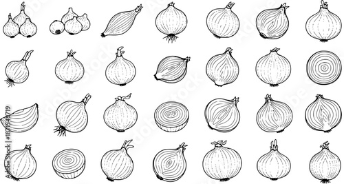Comprehensive Hand-Drawn Onion Collection: Detailed Black and White Illustrations of Whole, Sliced, and Bundled Onions in Various Forms and Cuts.