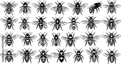 Bee Pattern: Black and White Honey Bees in Rows