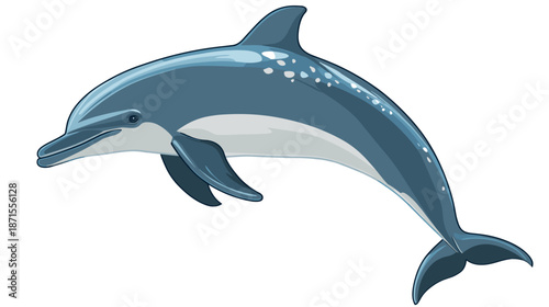 Dolphin Illustration with White Spots.