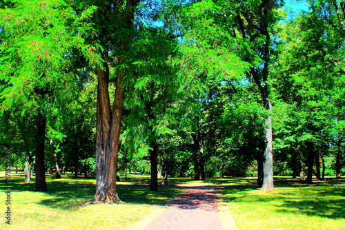 Fotografie Adventurous view from Letna Park in Prague, Czech Republic, with a paved path st