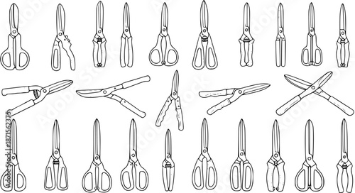 Hand-drawn set of various gardening shears and pruning scissors. Collection of different garden cutting tools for horticulture and landscaping.