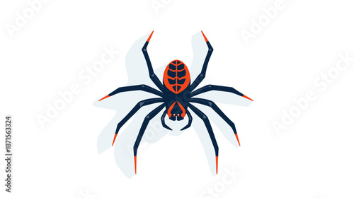 Black Widow Spider with Red Markings.