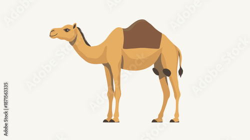 Camel Standing with Saddle on Back.