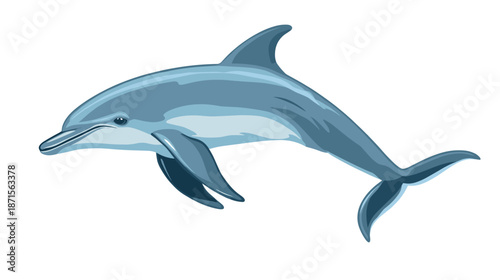 Dolphin Swimming in Water Illustration.