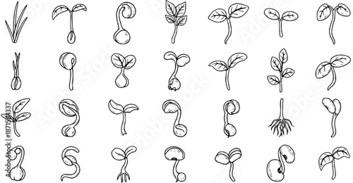 Hand-drawn Black and White Doodle Set of Plant Sprouts and Seedlings, Illustrating Various Stages of Germination and Early Growth Icons Vector