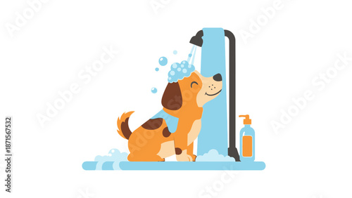 dog washing under shower with soap and shampoo.