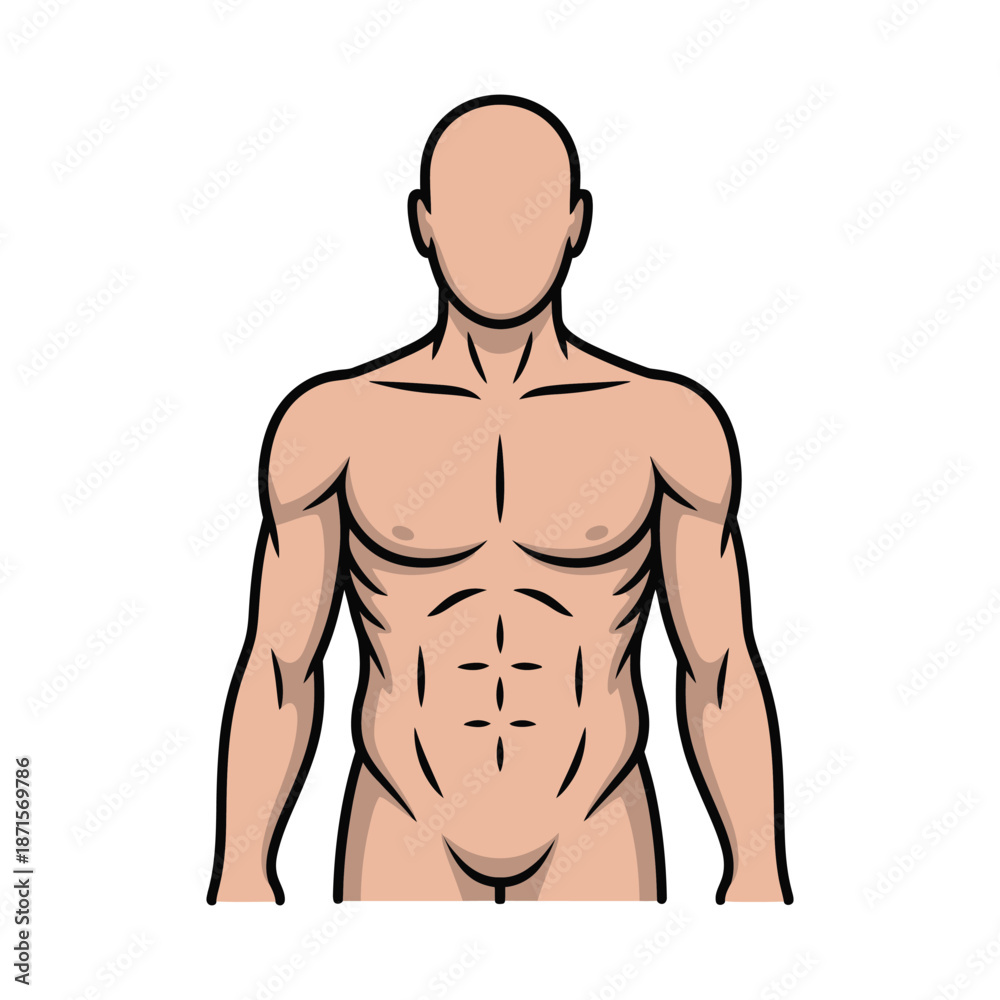 Fototapeta premium Muscular male torso shows defined abdominal muscles outline.