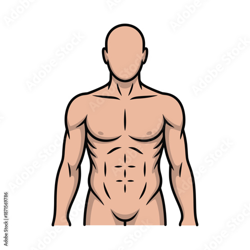 Muscular male torso shows defined abdominal muscles outline.