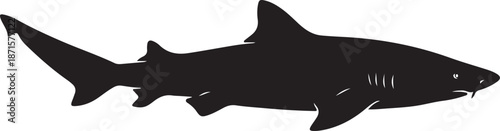 Nurse Shark Silhouette on White Background