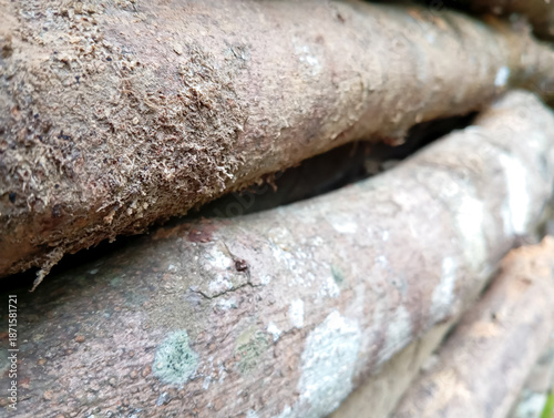close up view of stacked logs
