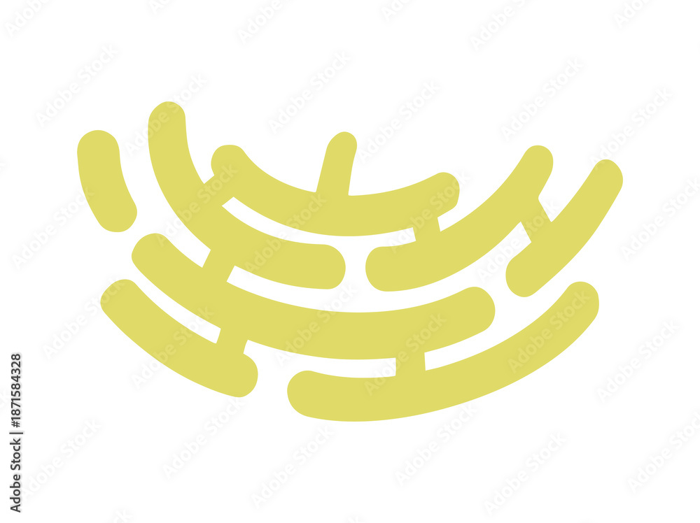 Obraz premium Endoplasmic Reticulum Cell Anatomy Illustration