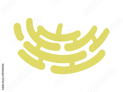 Endoplasmic Reticulum Cell Anatomy Illustration