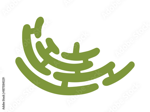 Structure Endoplasmic Reticulum Cell Anatomy