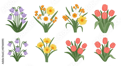 Colorful collection of spring flowers including irises, daffodils, and tulips in a simple vector style.