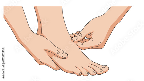 Medical illustration showing human hands performing a therapeutic massage or checking for injury on a foot and ankle joint.