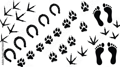 Animal footprint silhouette set, bird tracks, dog paw prints, horseshoe marks, human barefoot steps, wildlife trail icons, nature path vector elements,