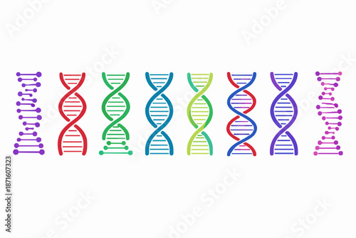Colorful DNA Structure Design