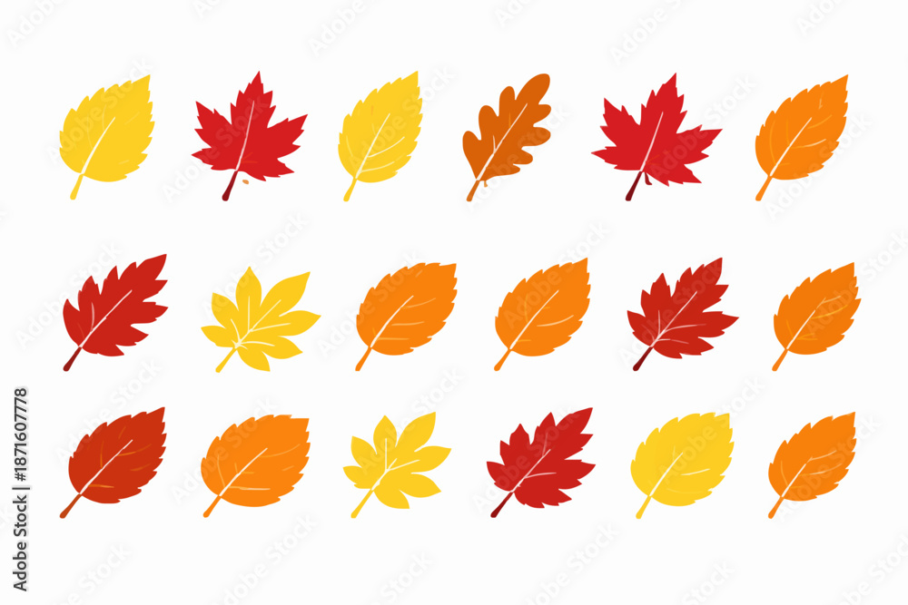 Obraz premium Colorful Autumn Leaves Pattern