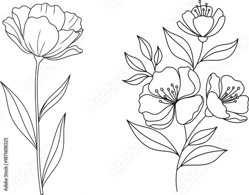 Black and white illustration of two flower silhouettes with leaves and stems silhouette