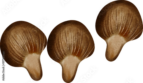 Colorful Watercolor Mushroom. Hand-painted watercolor illustration of different mushroom species in bright tones, perfect for botanical and natural design projects.