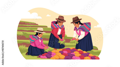 Three Peruvian women in traditional attire are meticulously sorting a vibrant harvest of colorful potatoes in a terraced field.