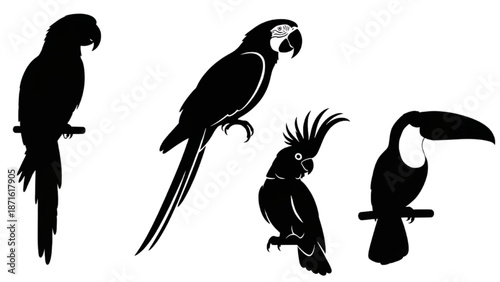 Silhouette illustrations of exotic parrots and toucan perched on branches