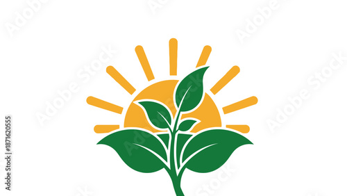 Green Plant Growing Towards Yellow Sun.