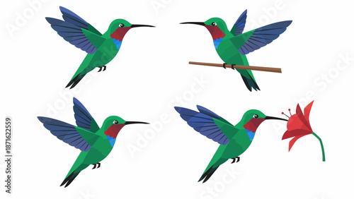 Hummingbird Vector Set: Isolated Green Tropical Birds in Flight, Perching, and Feeding Poses. Flat Design Illustration Collection.