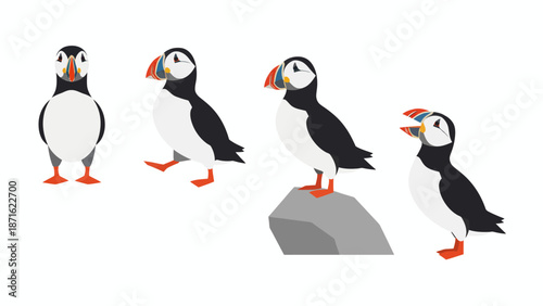 Set of Atlantic Puffin Flat Design Vector Illustrations. Cute Arctic Sea Bird Character Poses Isolated on White.