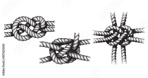 Marine rope knot engraving illustration for nautical branding