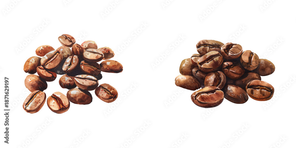 Obraz premium coffee beans watercolor vector illustration