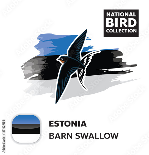 National Bird Set Estonia Swallow Vector Character
