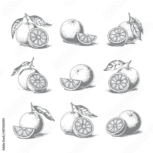 Hand drawn orange set with leaves and shadows