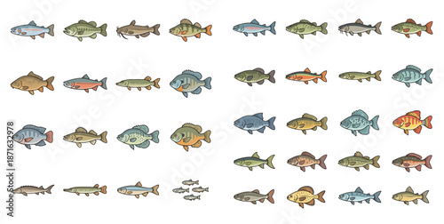 Collection of cute and sweet freshwater and sea fish icons, vector illustration, isolated on transparent background