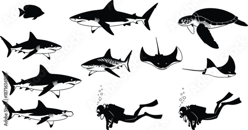 Underwater Marine Life Collection Featuring Scuba Divers Sharks Sea Turtle and Stingrays in Black and White Silhouette Vector Illustration Set