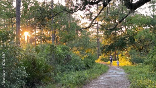 A mother and child hike a quiet path through a lush forest at golden hour. Sunlight glows through trees and Spanish moss along the rustic trail.