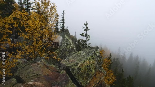 A scenic view of a rocky mountain landscape in Montana during autumn, featuring vibrant yellow foliage, evergreen trees, and a misty, foggy atmosphere.