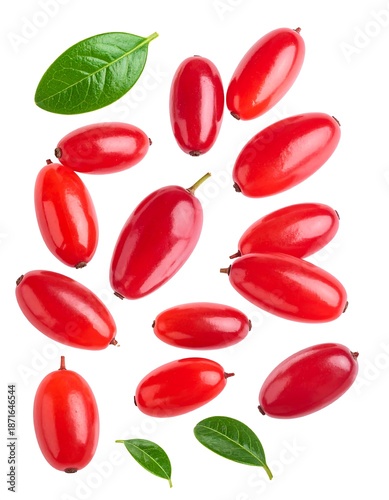 Red berries with leaves
