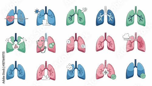 Collection of Human Lungs Illustrating Various Health Conditions and Diseases.